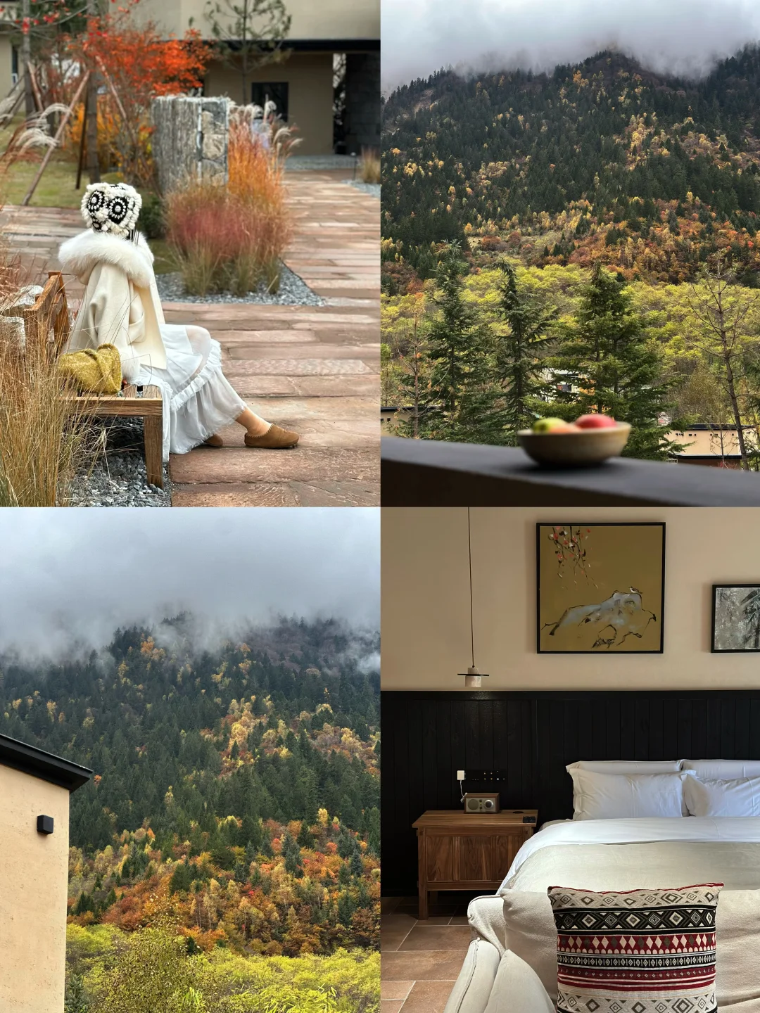 2025九寨沟，彩林最后的盛宴，明年再见👋🏻