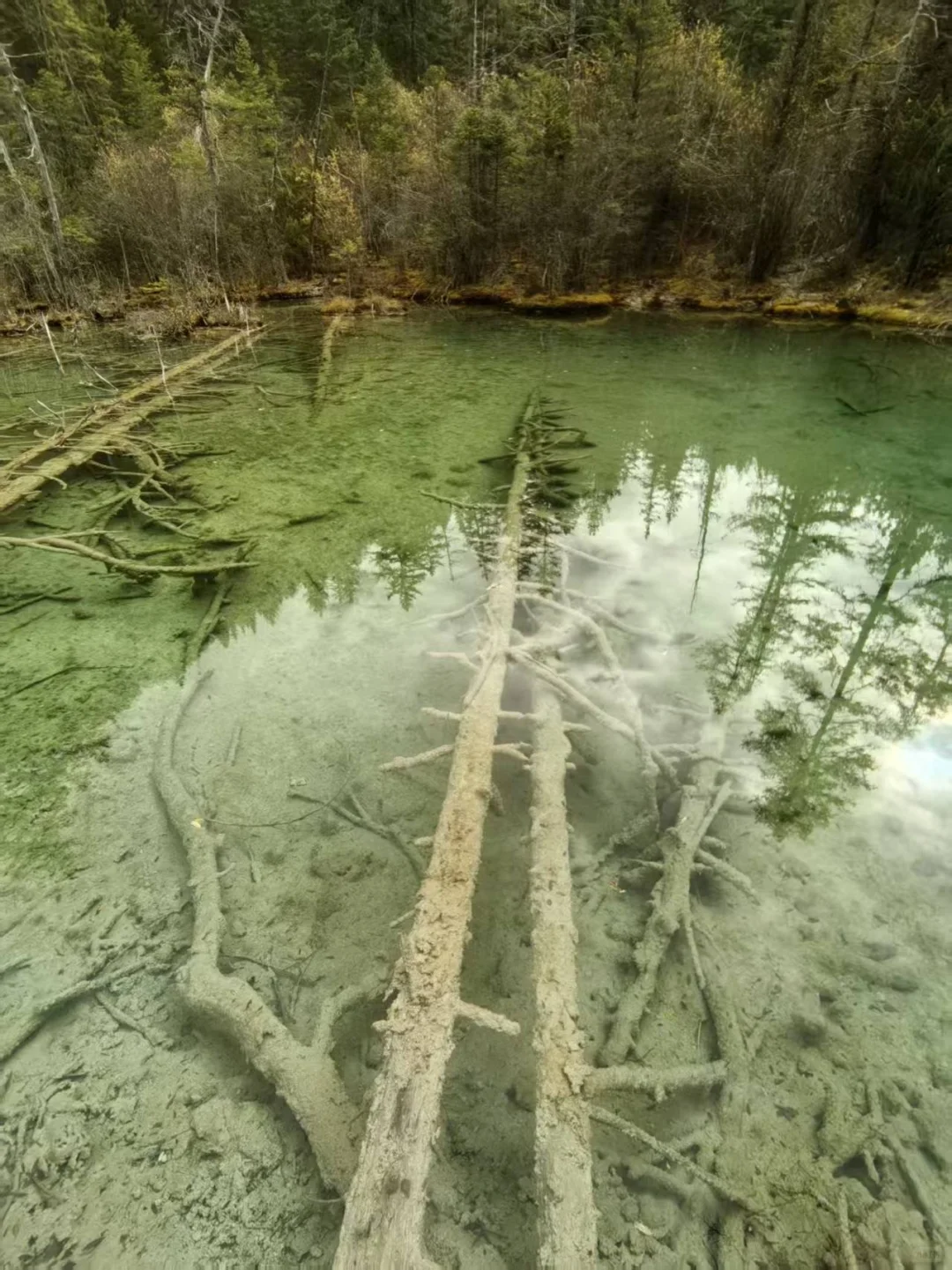 九寨沟县神仙池景区（一）