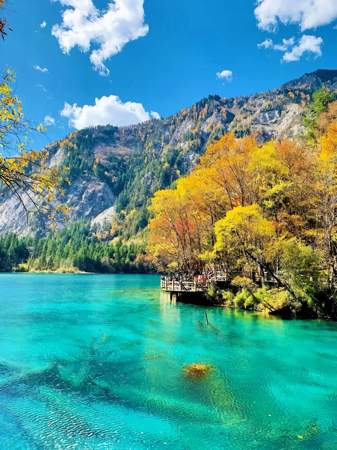 如果一生只去一次九寨沟 ,那一定是秋天!!