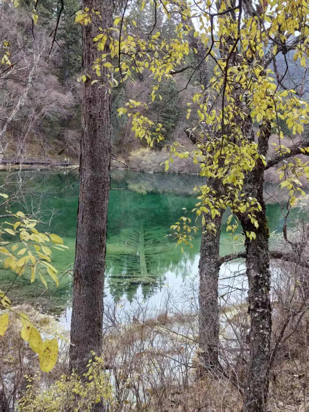 九寨沟县神仙池景区（二）
