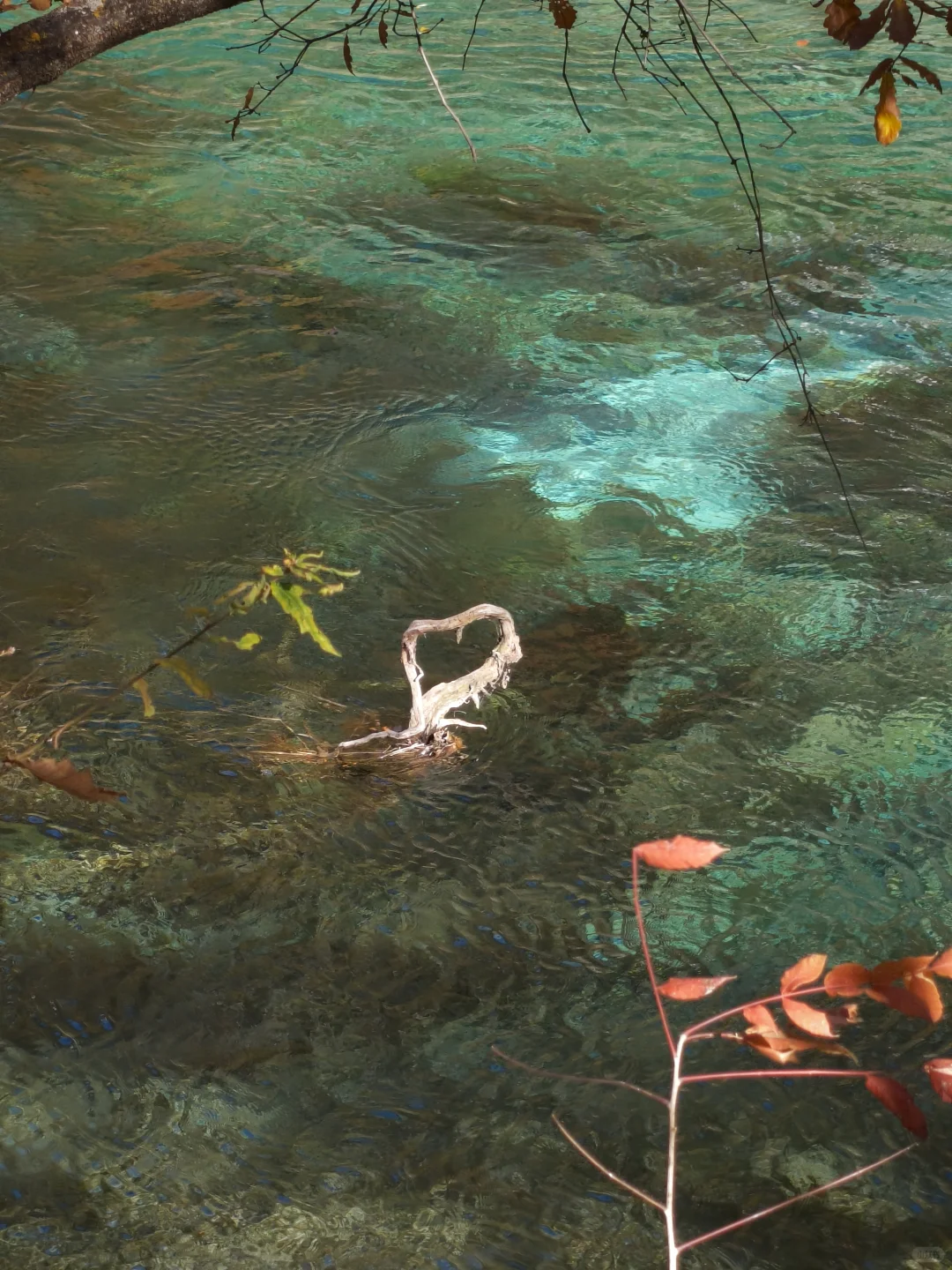 广州-九寨沟三天两夜攻略（一人勇闯版）