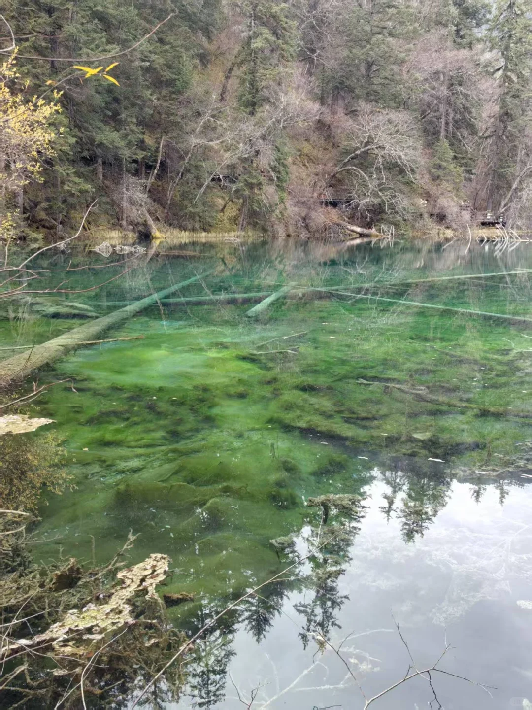 九寨沟县神仙池景区（二）