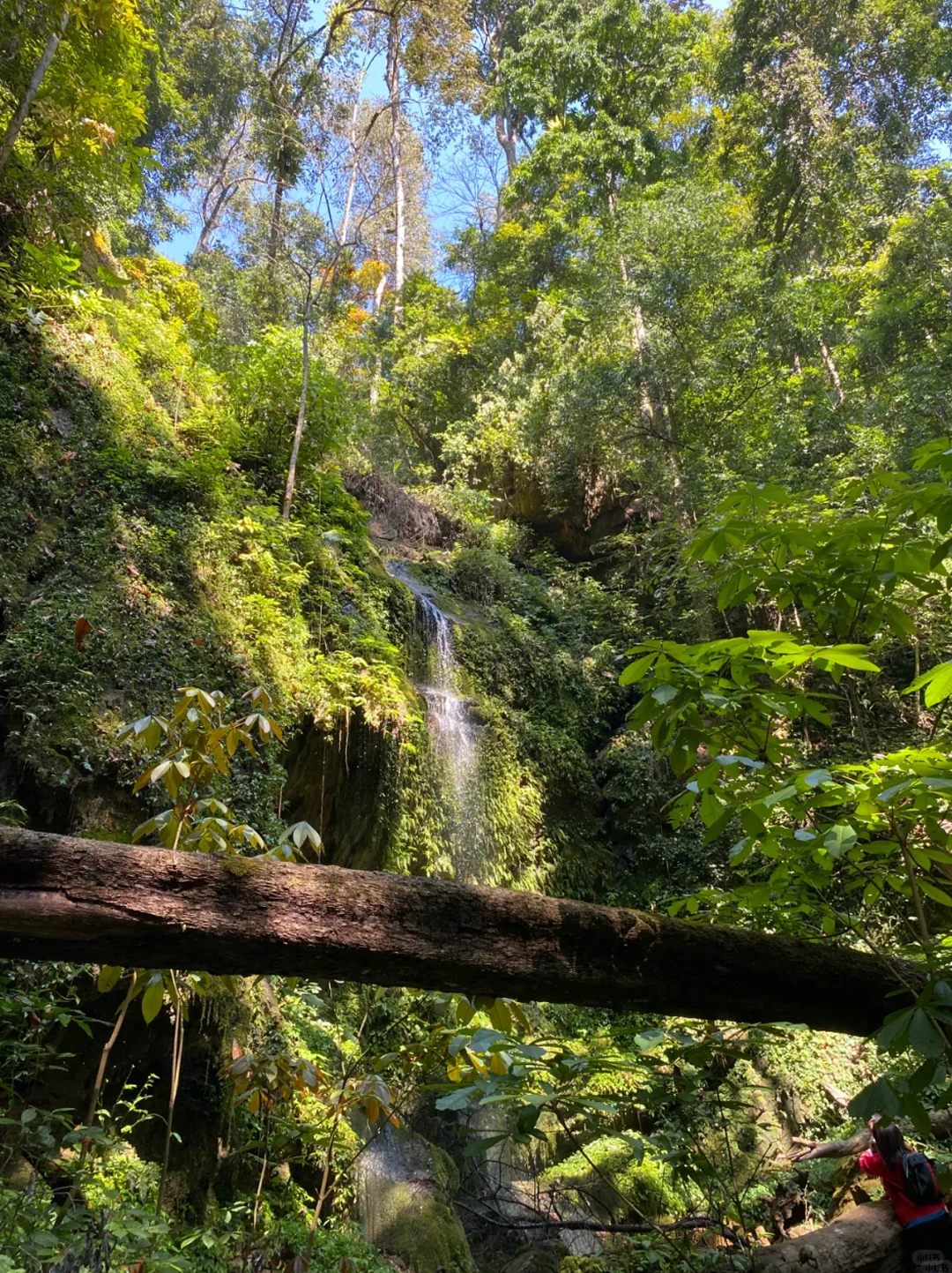 云南|腾冲+瑞丽+芒市8天旅游攻略✅