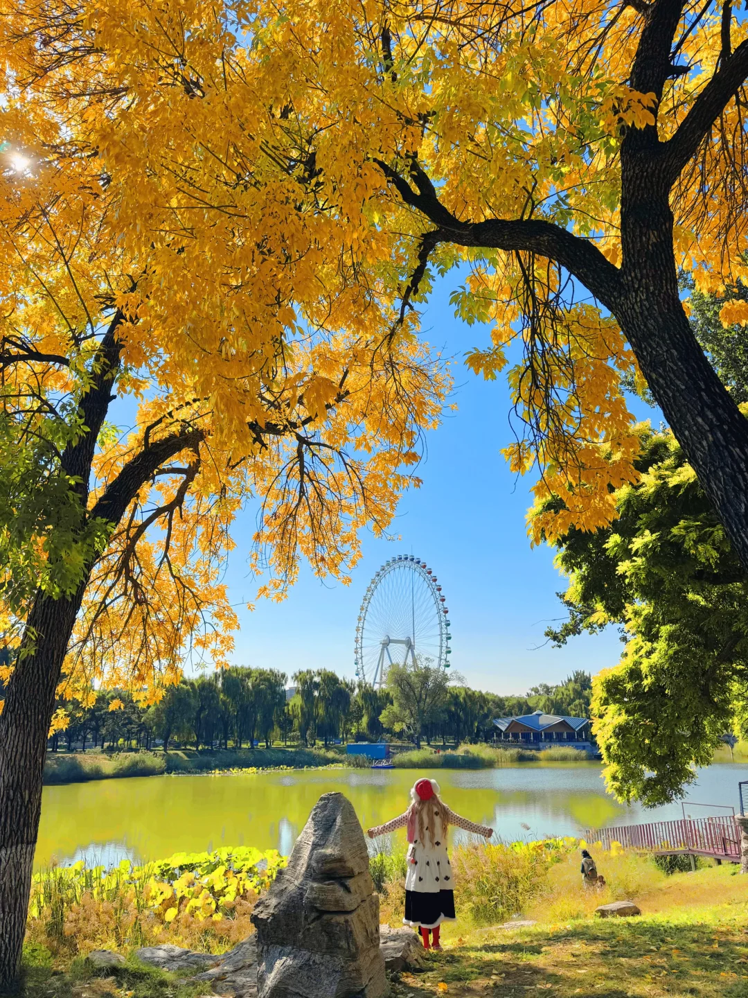 为了这18张图奔赴北平的秋天！📍附位置