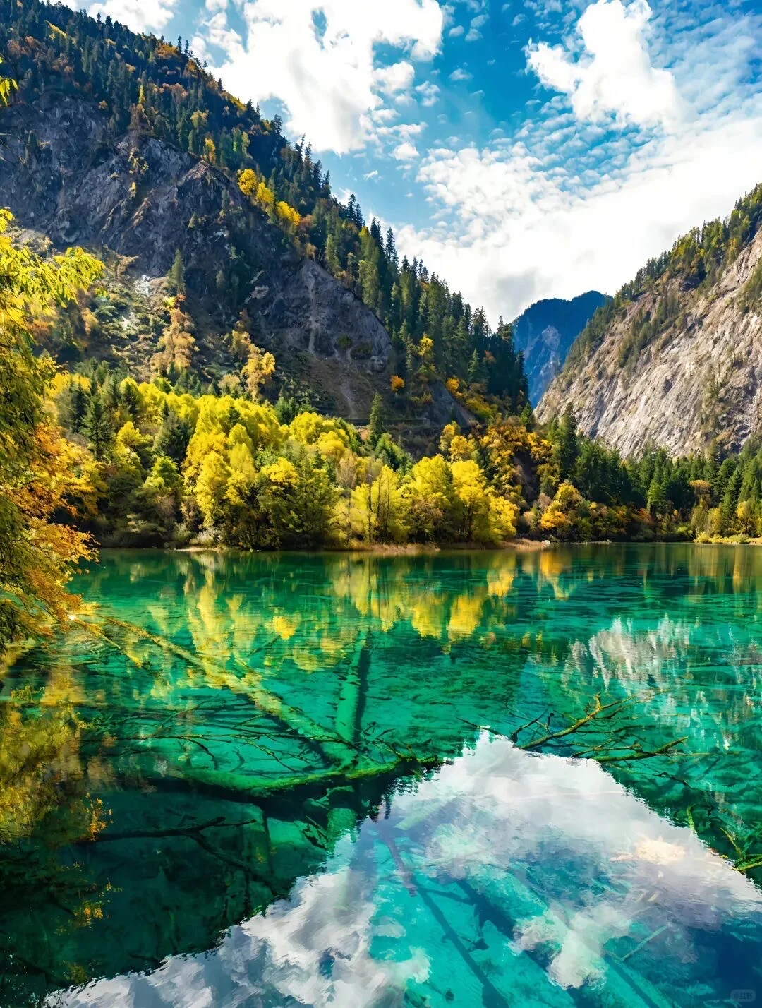 如果一生只去一次九寨沟 ,那一定是秋天!!