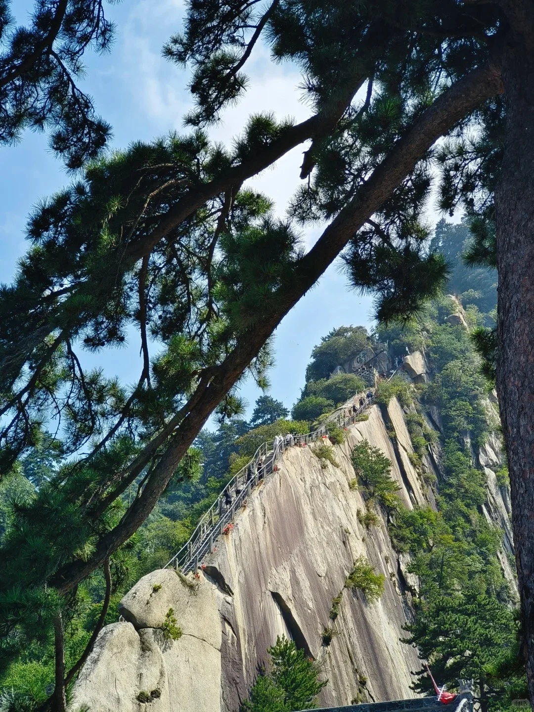 一张图🗺秒懂—华山⛰登山线路！