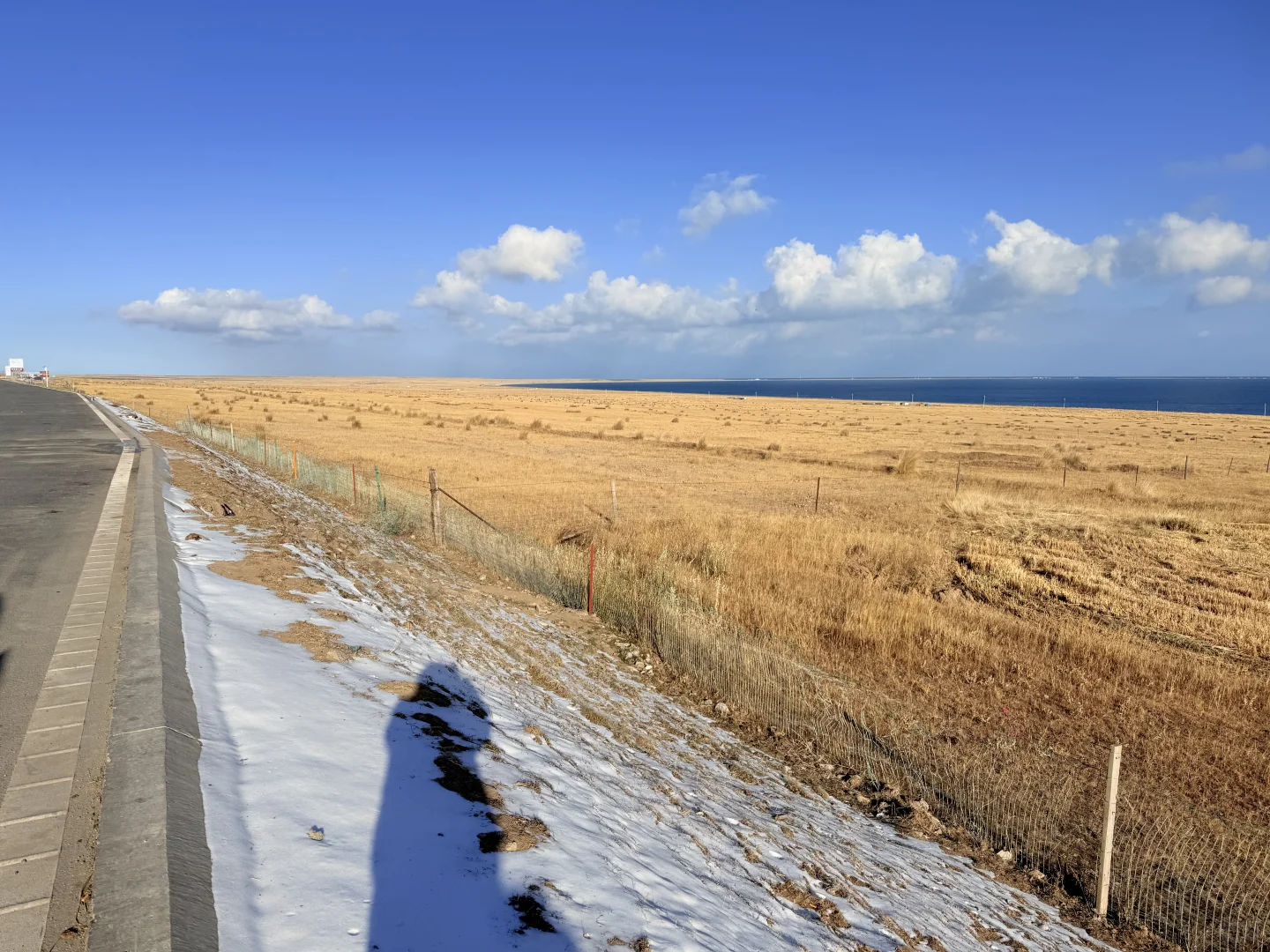 来了！真的好美～