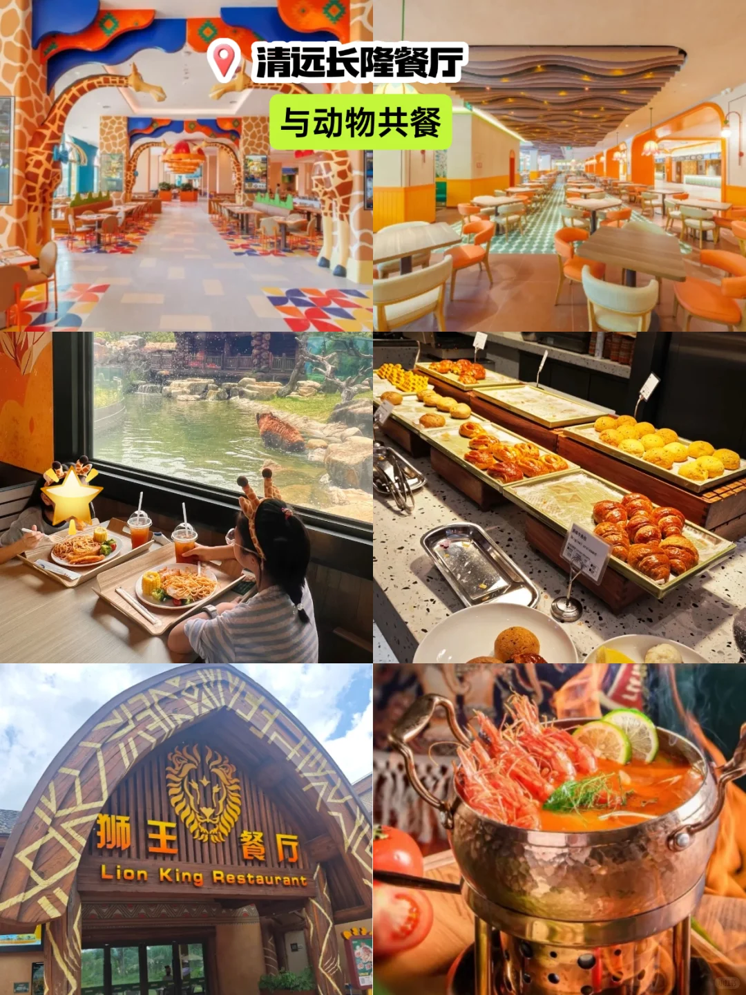 清远长隆2天，住长颈鹿酒店送温泉又送早