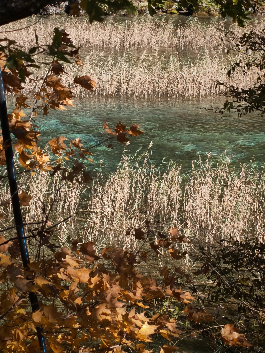 广州-九寨沟三天两夜攻略（一人勇闯版）