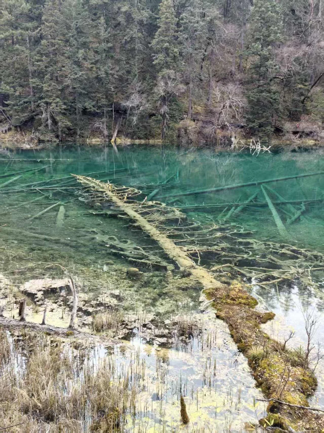 九寨沟县神仙池景区（一）