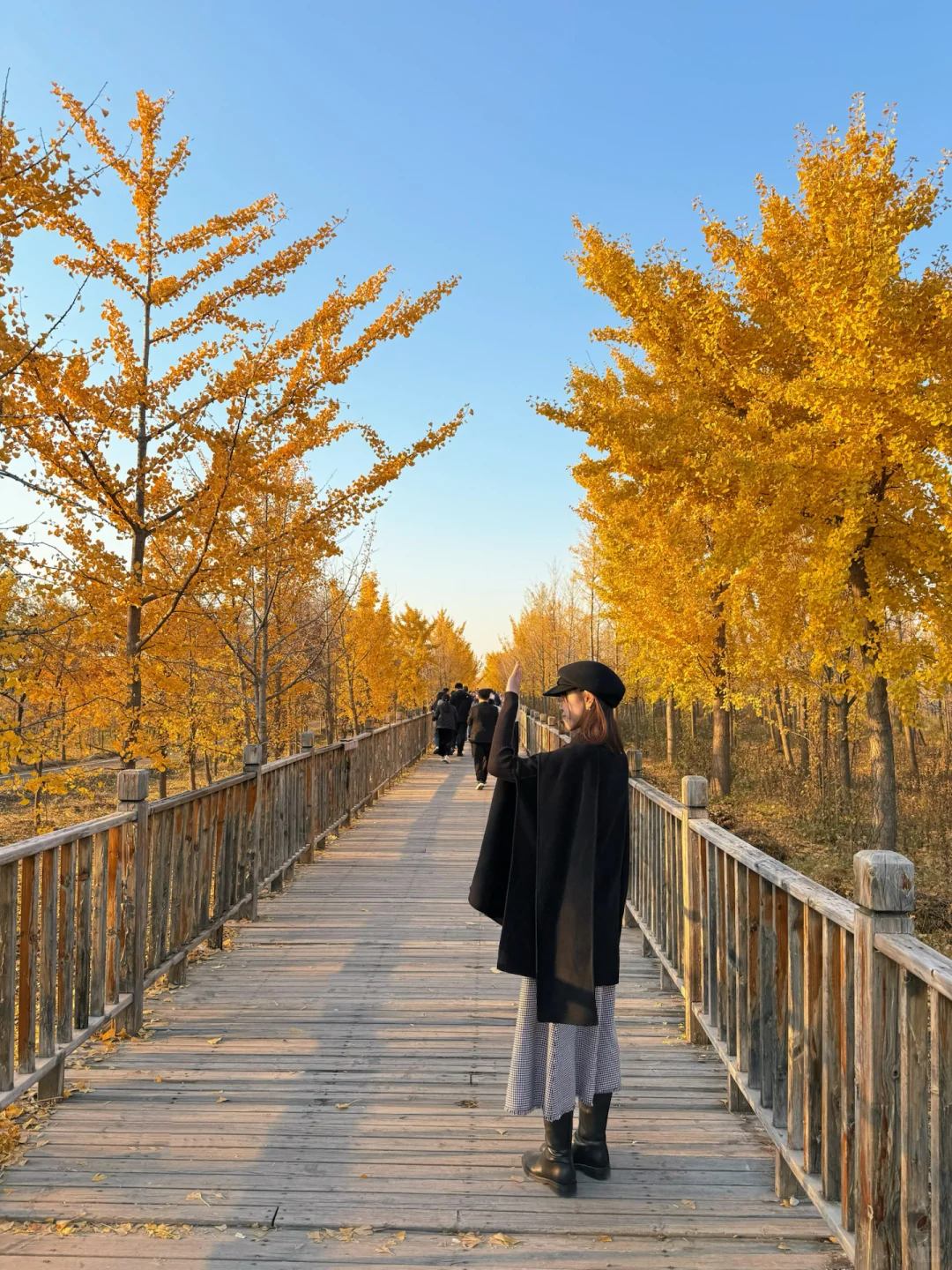 11.2邢台栾卸大家都出片了吗🍂