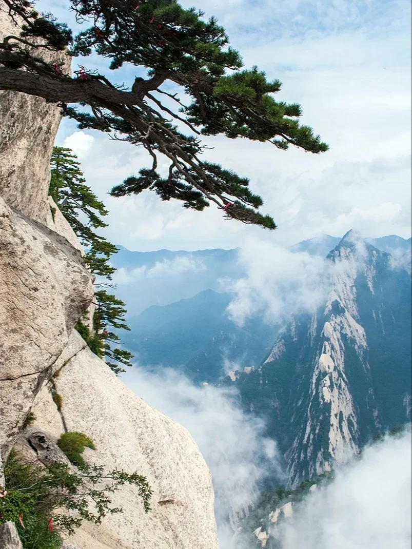 一张图🗺秒懂—华山⛰登山线路！