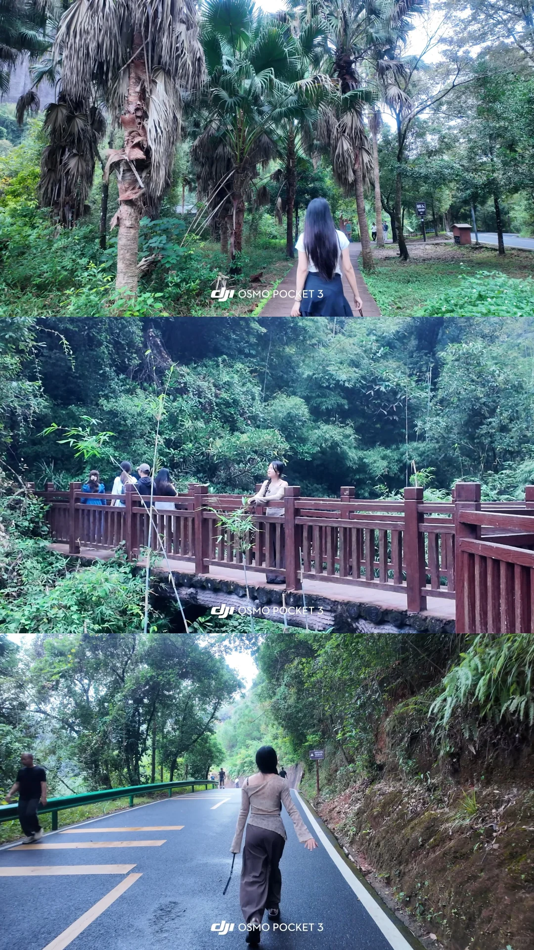 懒人福音！丹霞山这样玩 不累还能刷爆朋友圈