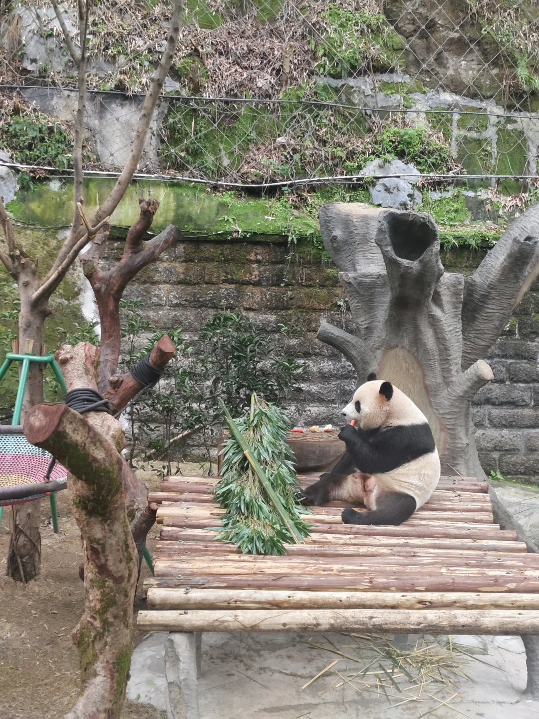 刚从重庆旅游回来，有问必答