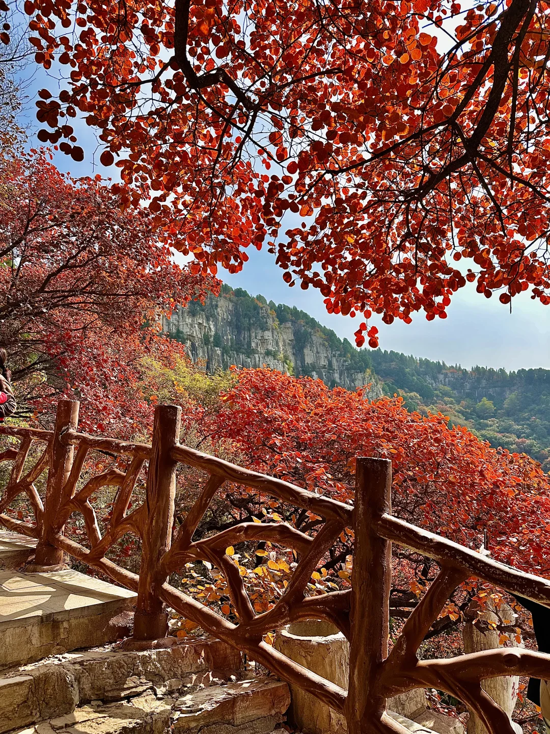 10.27实况！！石门坊红叶浓度已达99.999%