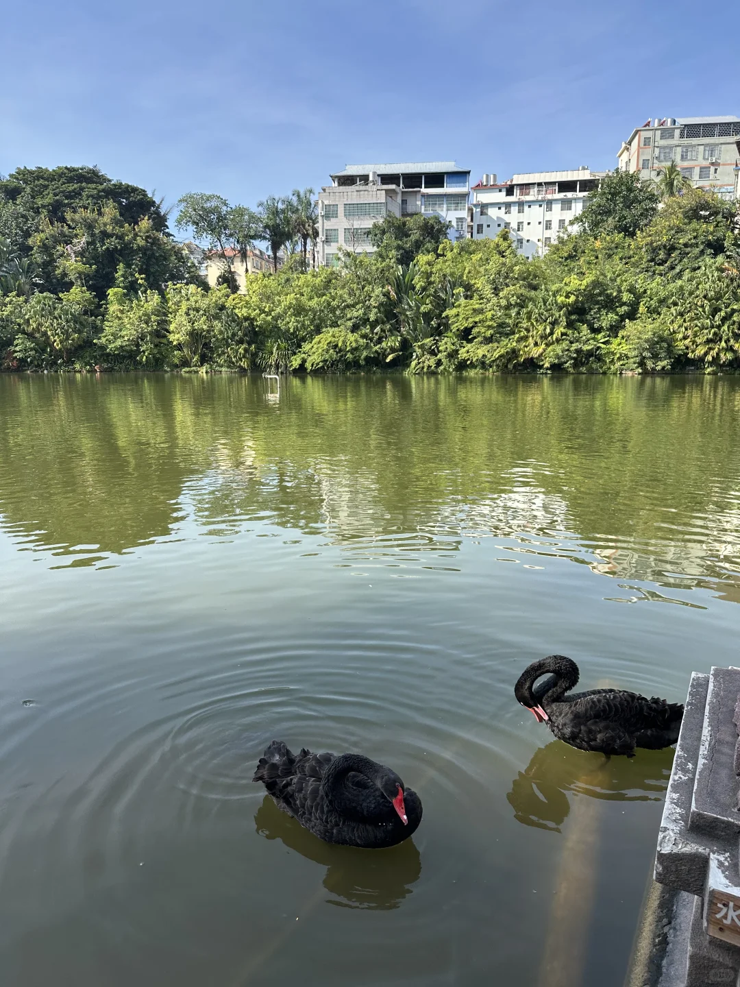 清理手机相册之西双版纳曼听公园