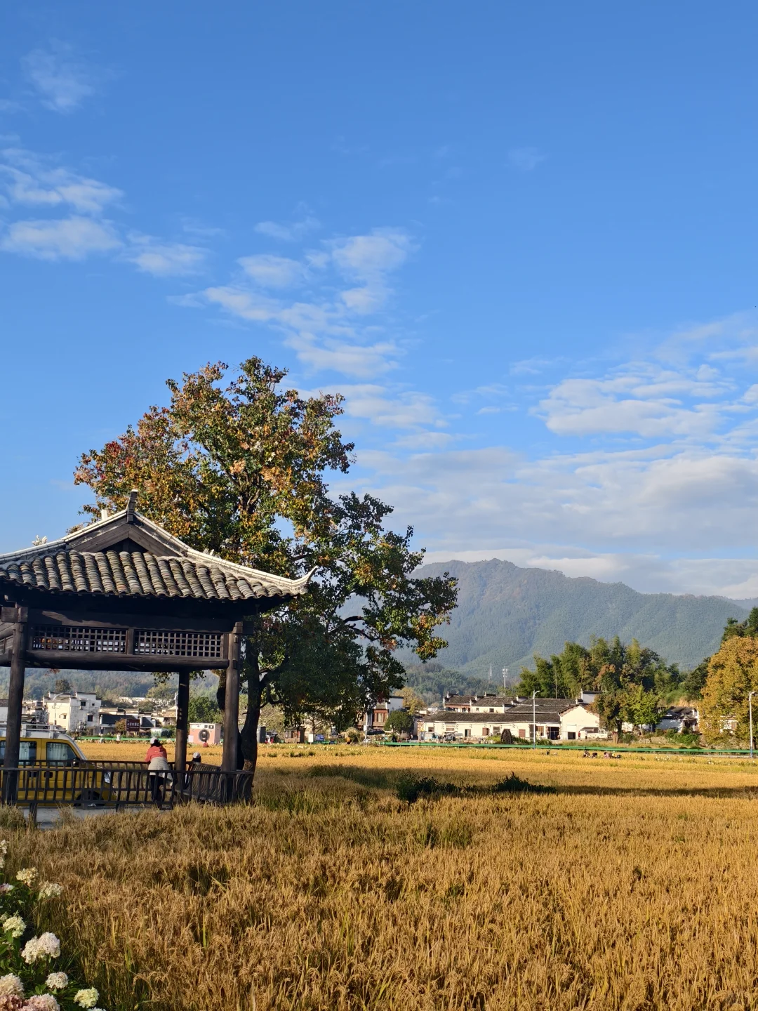 塔川的秋色美翻天～手机原图直出