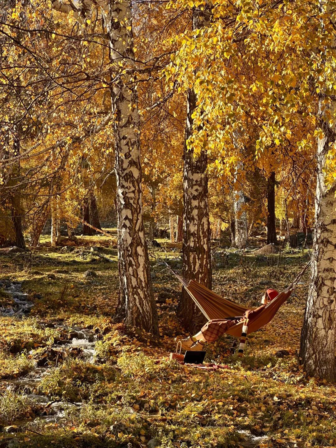 “我应该这辈子都忘不了阿勒泰的秋天了”