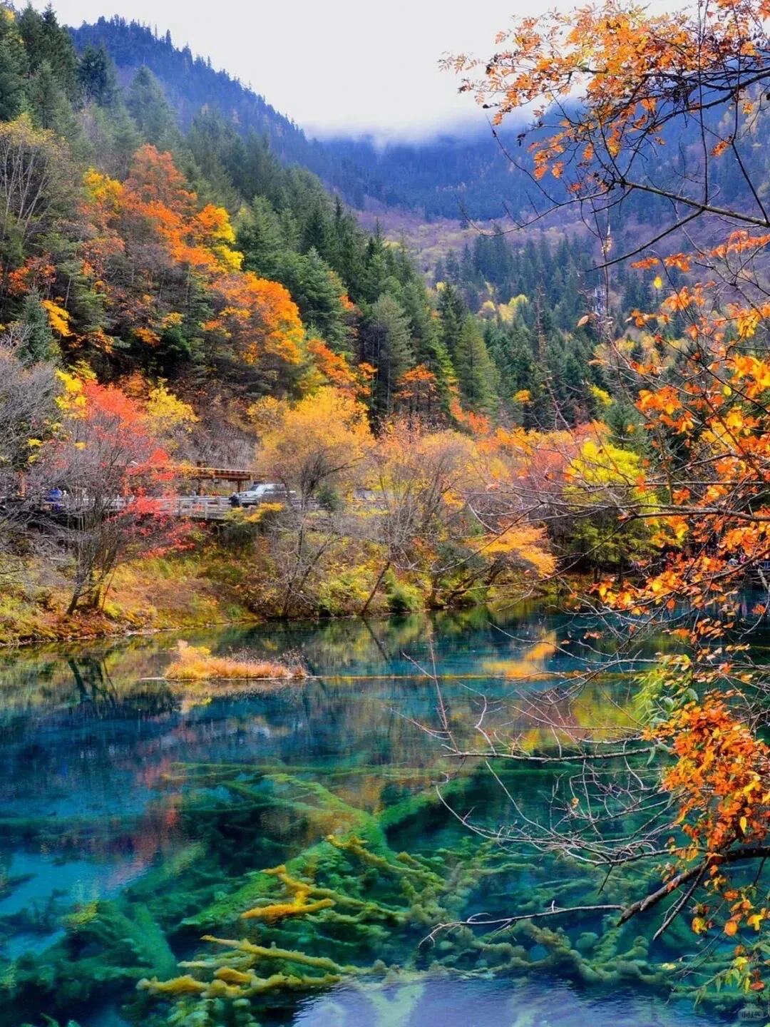 如果一生只去一次九寨沟 ,那一定是秋天!!