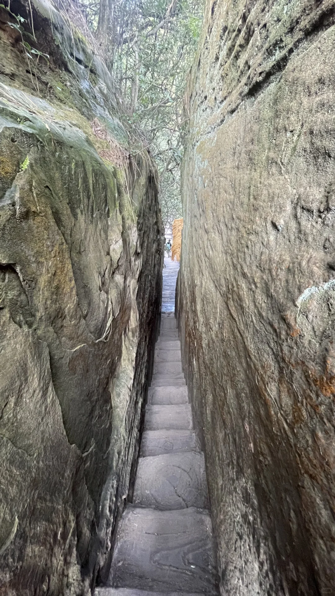 张家界国家森林公园的晴阴雨雾+攻略