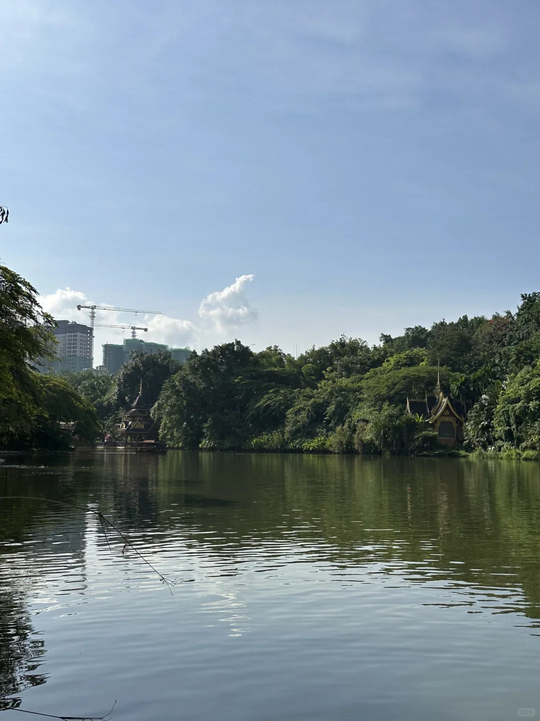 清理手机相册之西双版纳曼听公园