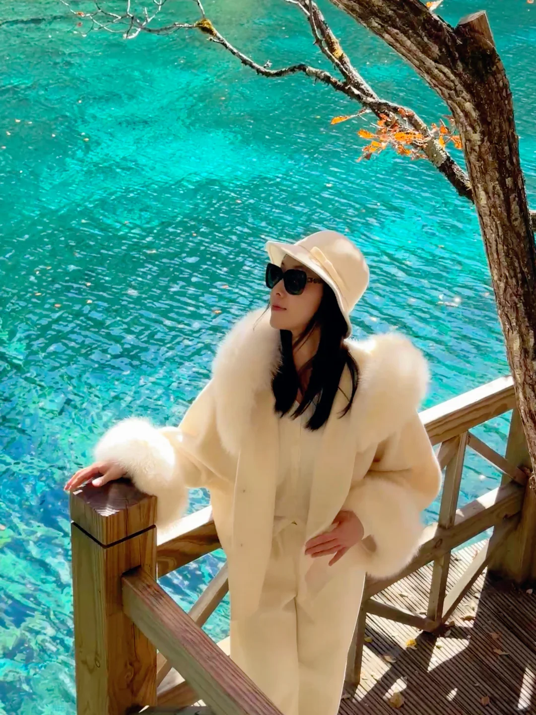 2025九寨沟，彩林最后的盛宴，明年再见👋🏻