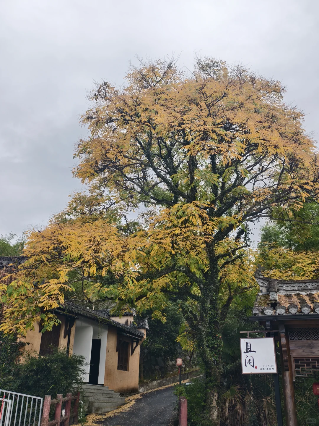 塔川的秋色美翻天～手机原图直出