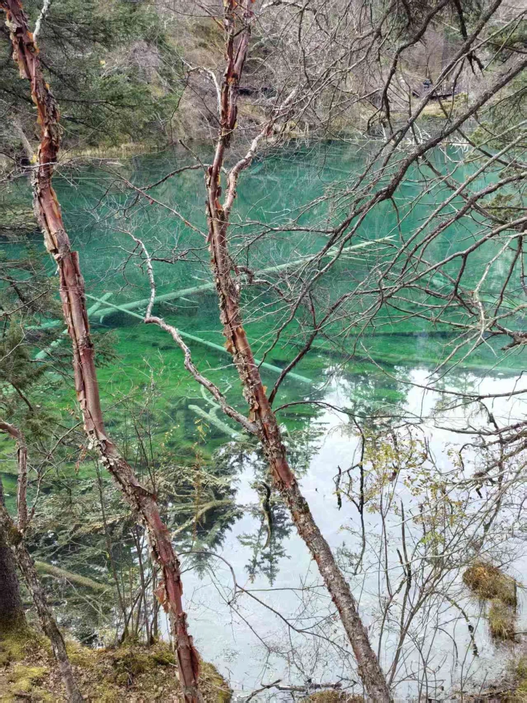 九寨沟县神仙池景区（二）