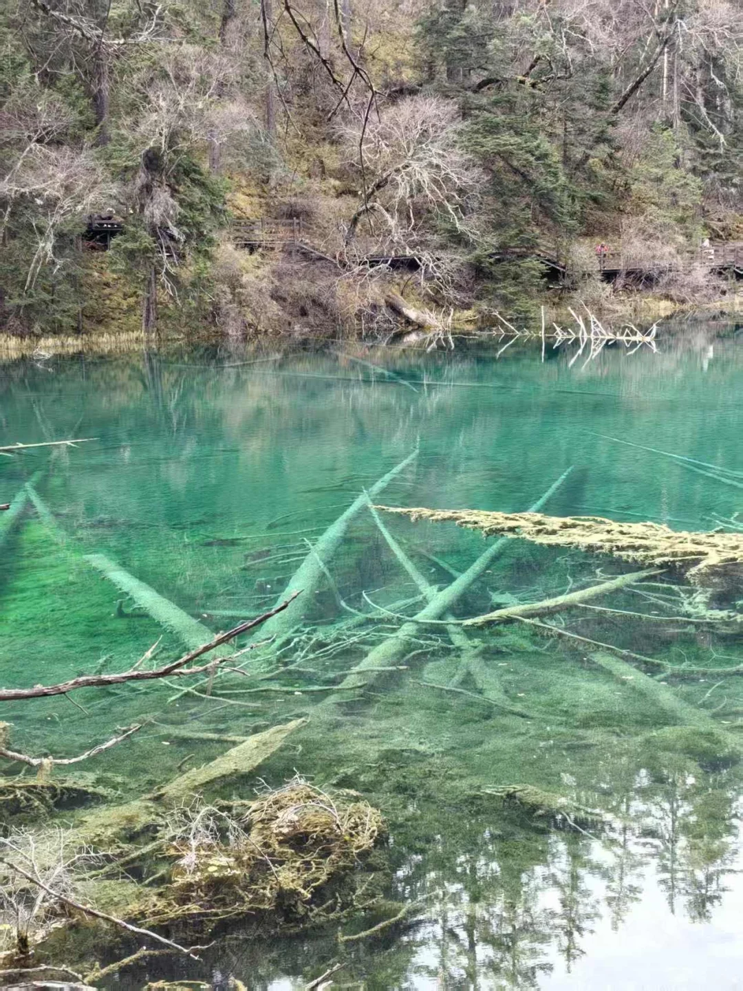 九寨沟县神仙池景区（一）