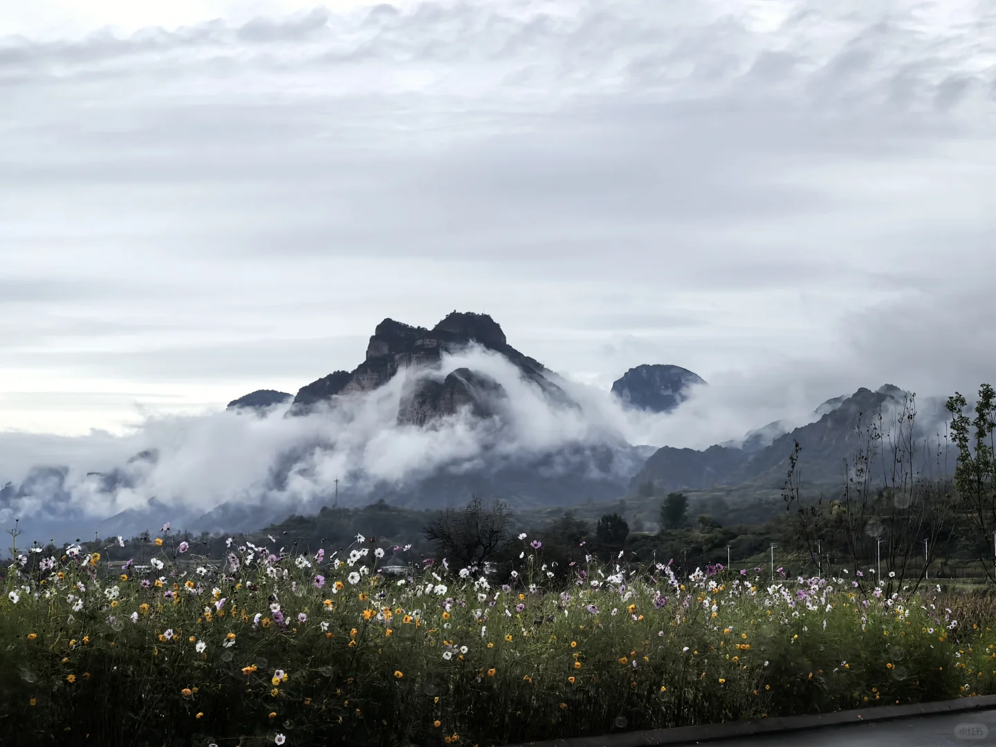 河北文旅要不然给邯郸打点钱吧！