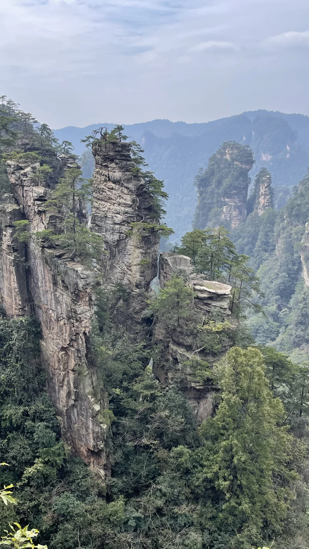 张家界国家森林公园的晴阴雨雾+攻略