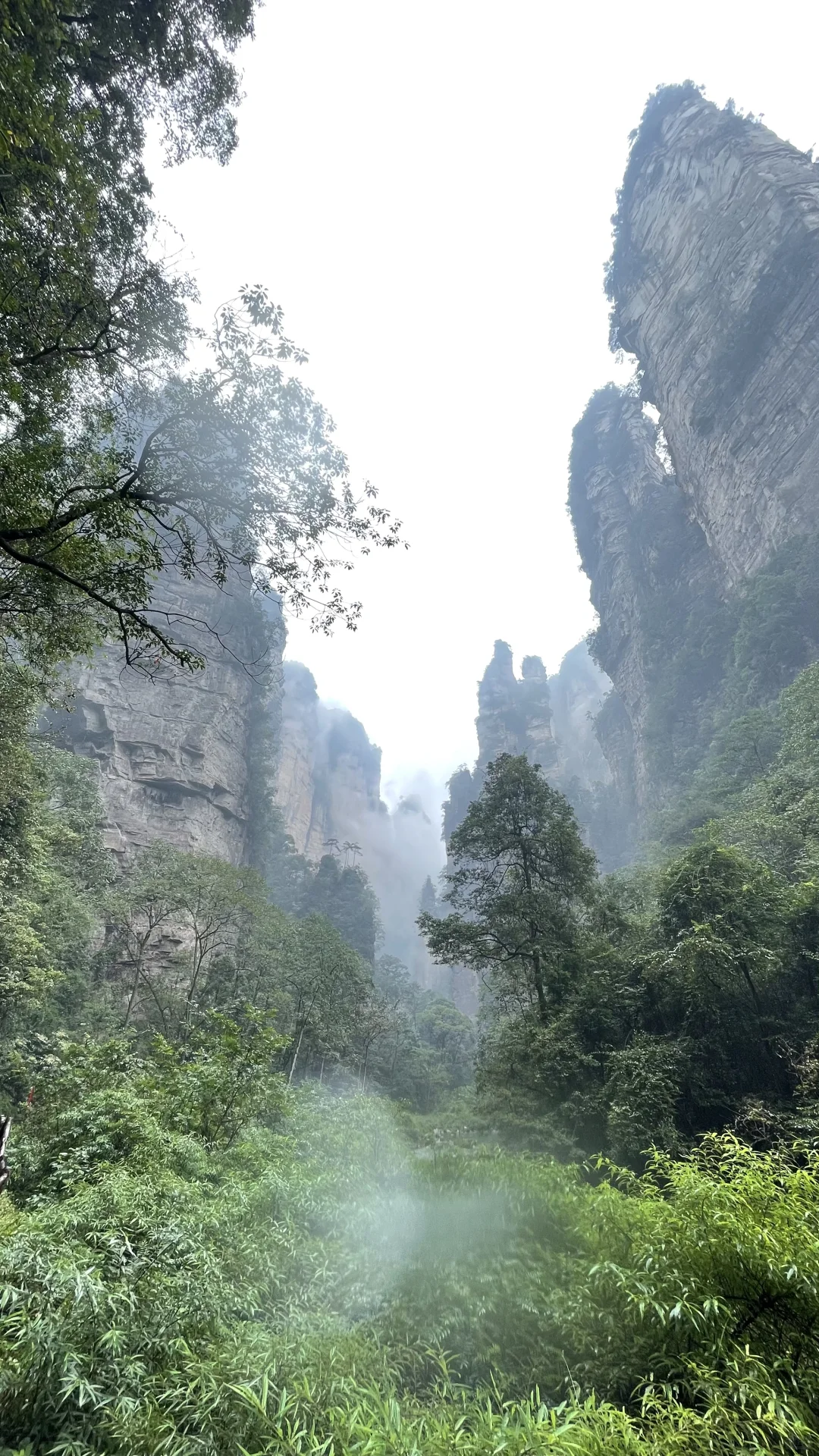 张家界国家森林公园的晴阴雨雾+攻略