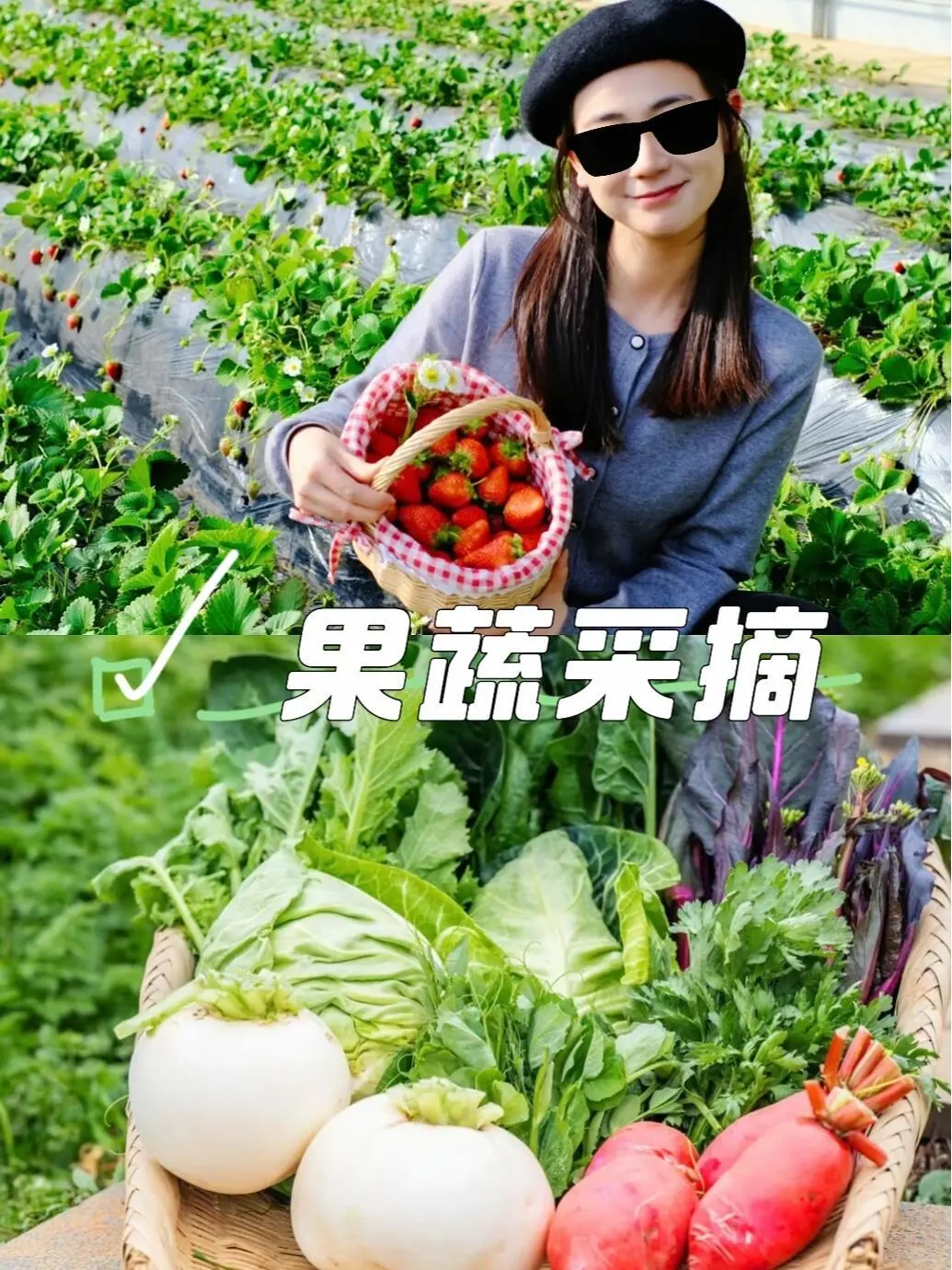 安徽16个市的城市景点，你去过几个地方❓❗