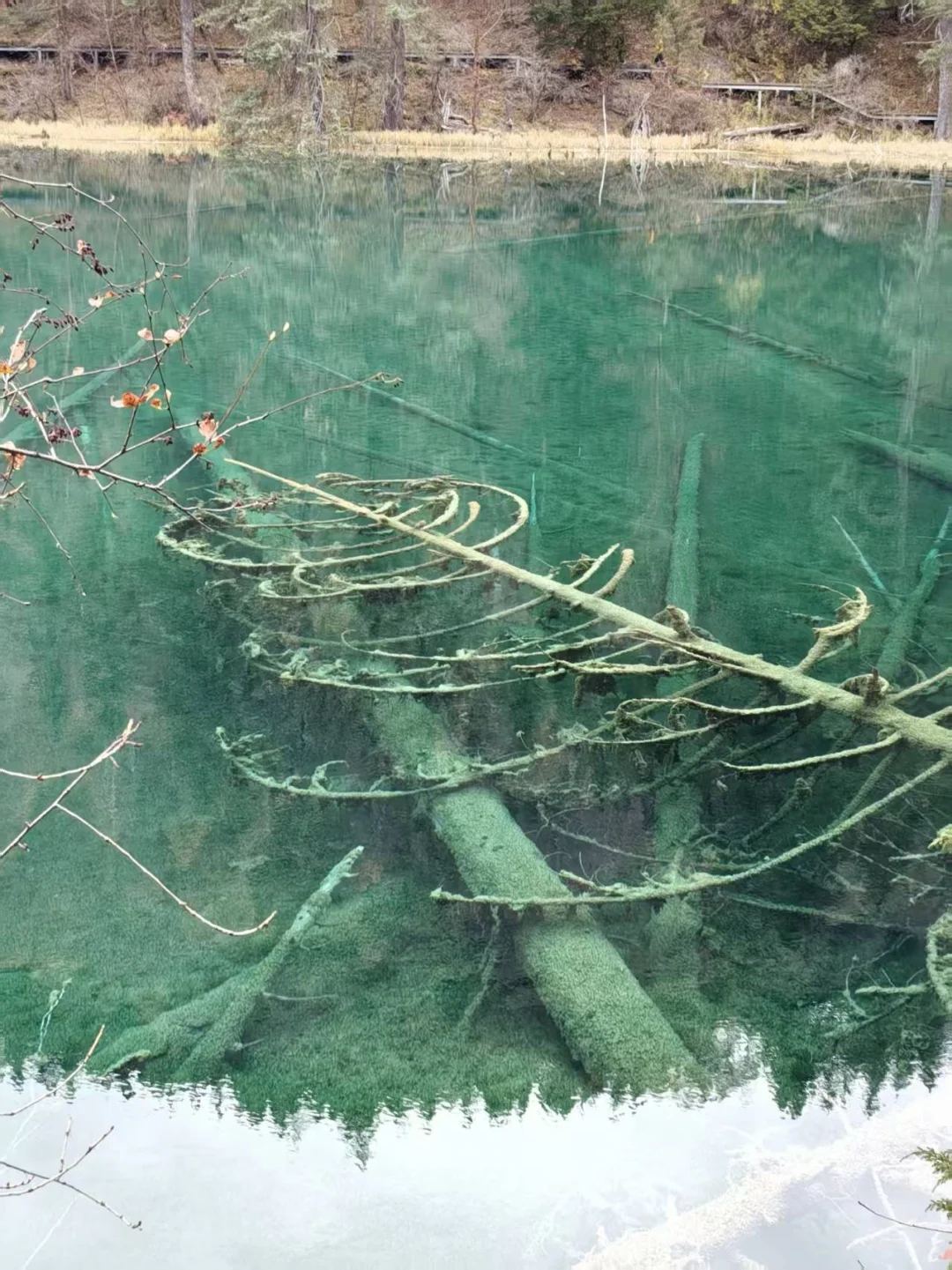 九寨沟县神仙池景区（四）