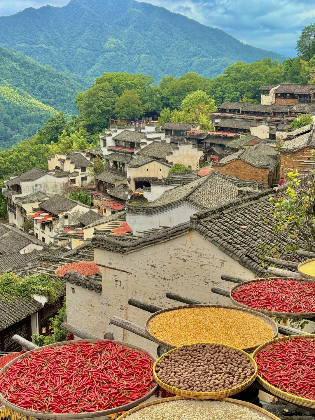 🍂篁岭秋天实况!18张图放不下太美了(附攻略