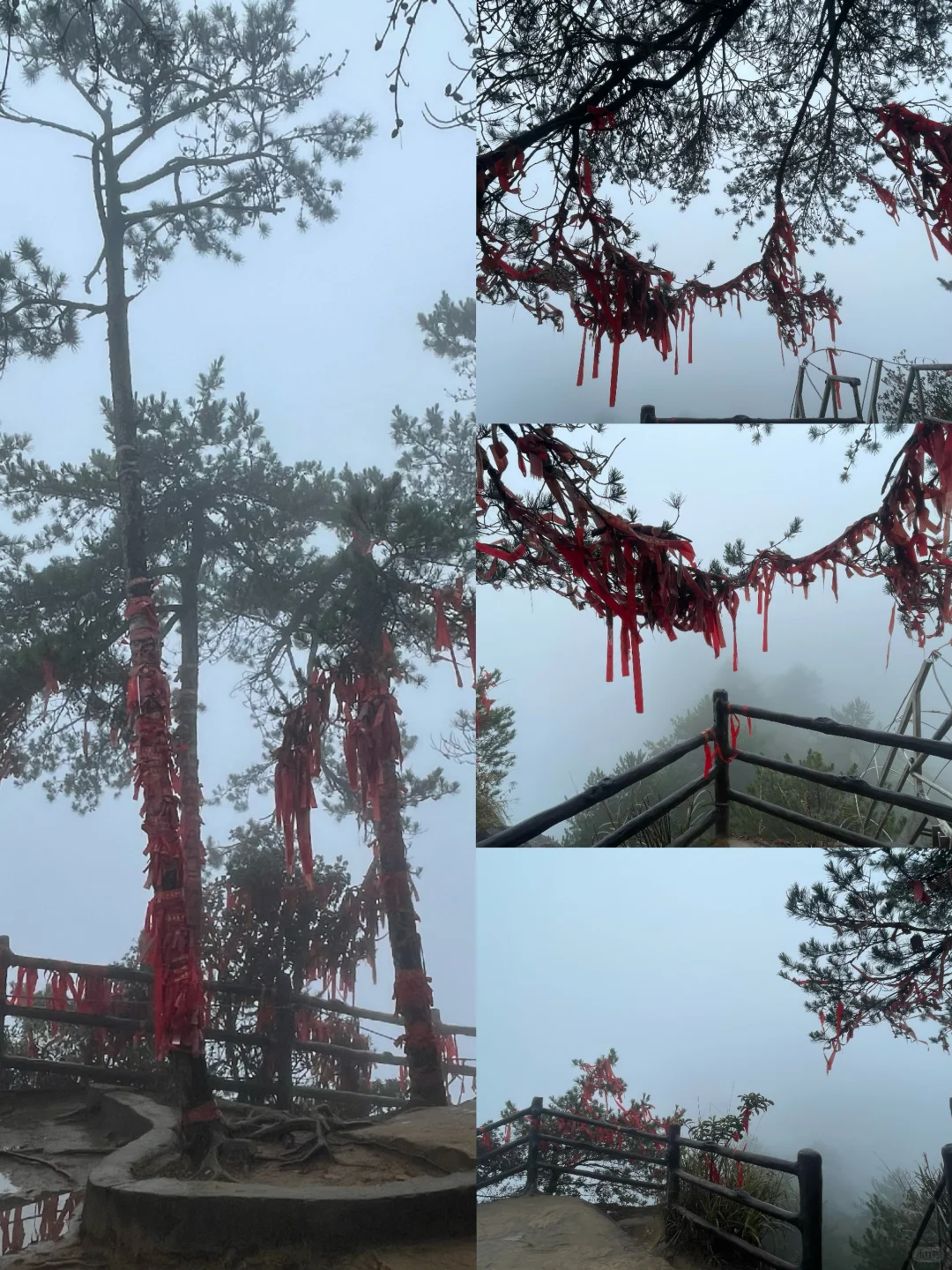 张家界国家森林公园的晴阴雨雾+攻略