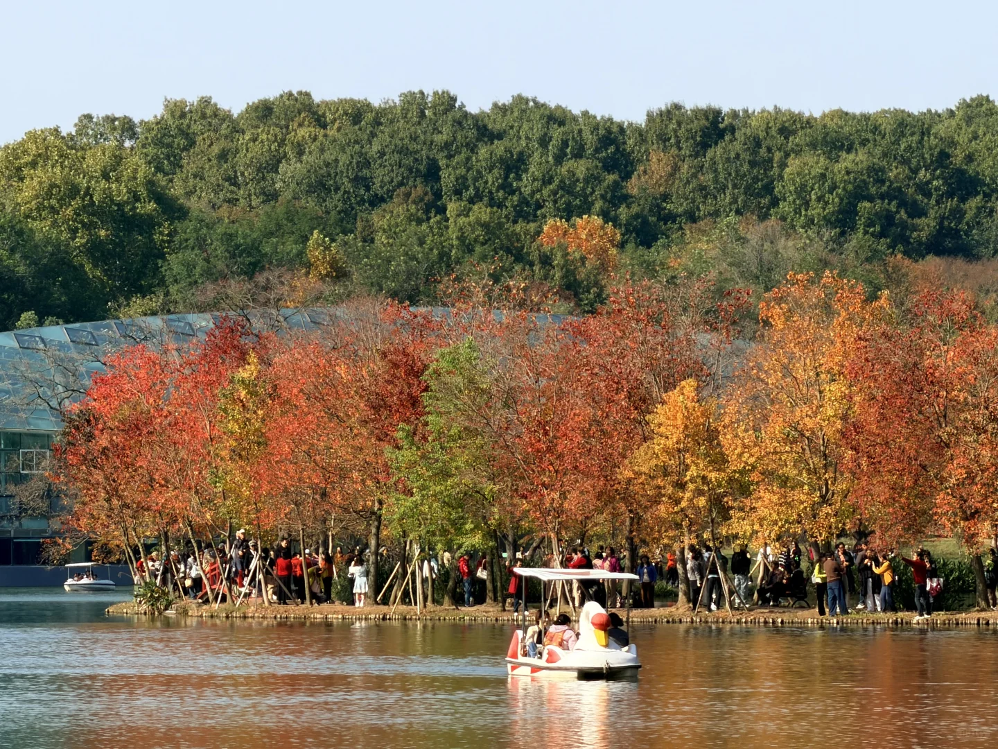 又是橙黄橘绿时 | 南京前湖