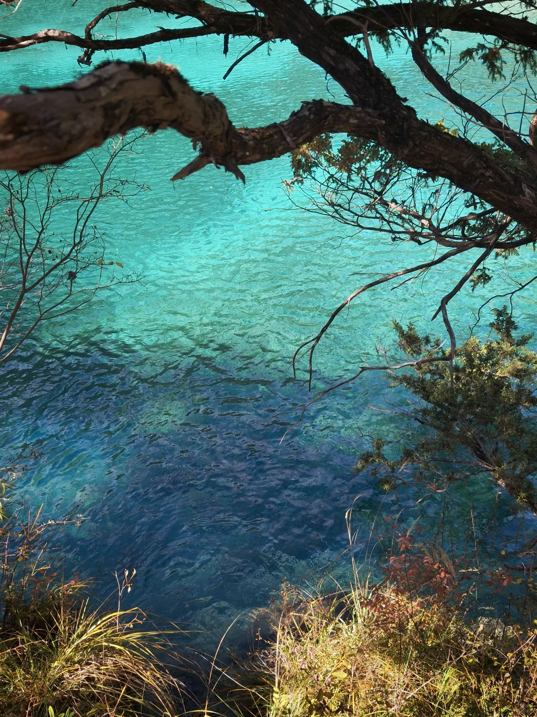 广州-九寨沟三天两夜攻略（一人勇闯版）