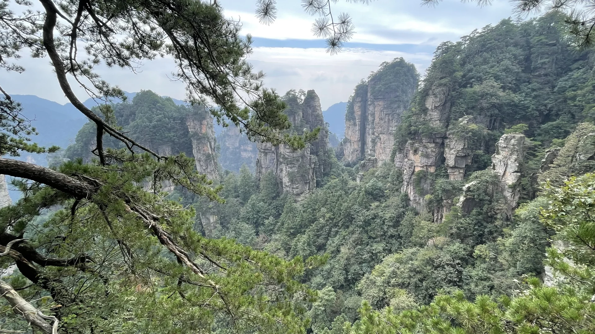 张家界国家森林公园的晴阴雨雾+攻略