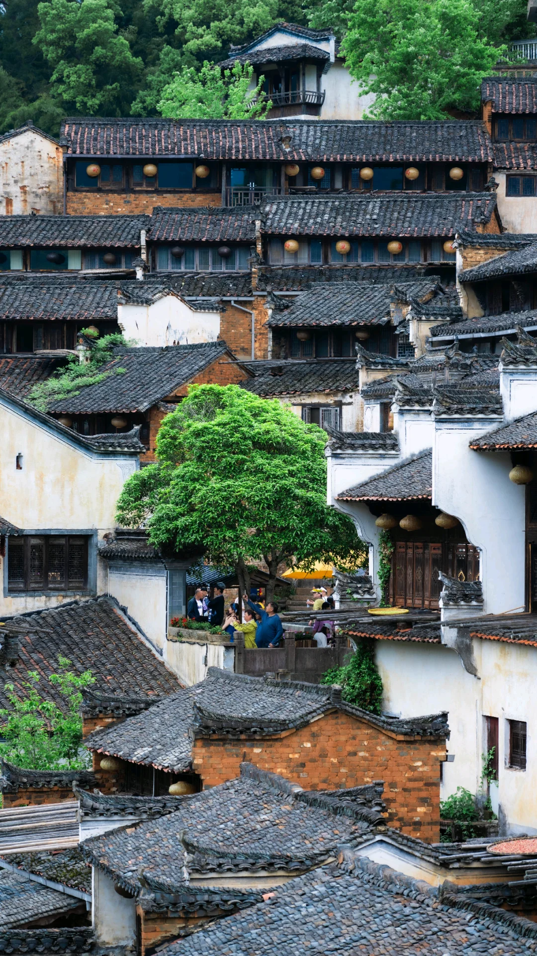 不卷晒秋了！4月的婺源 比想象更出片📸
