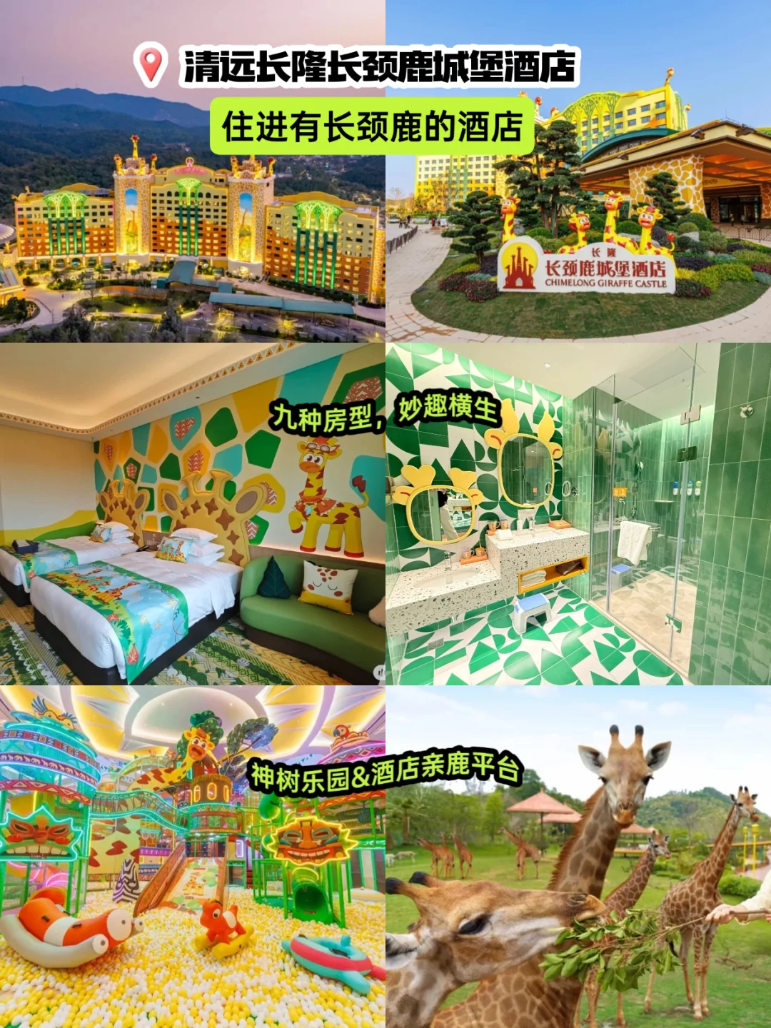 清远长隆2天，住长颈鹿酒店送温泉又送早