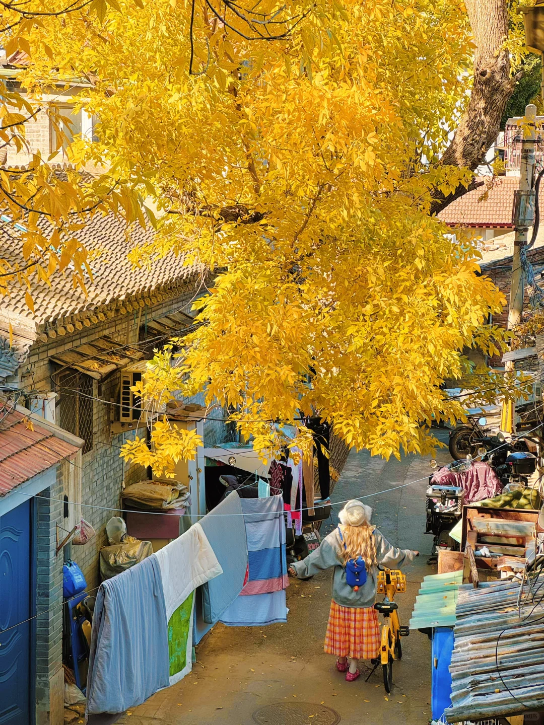 为了这18张图奔赴北平的秋天！📍附位置
