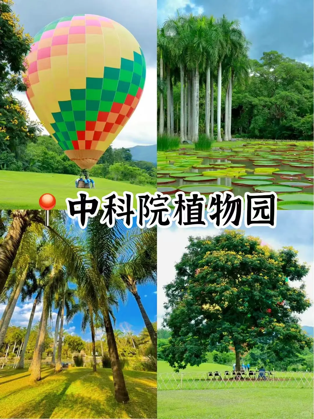 🔥挑战❗️云南这么好你都去过哪⁉️