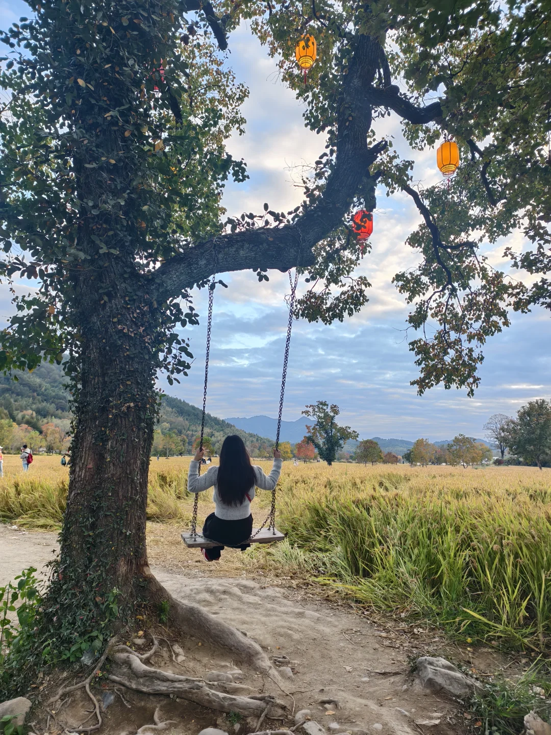 塔川的秋色美翻天～手机原图直出