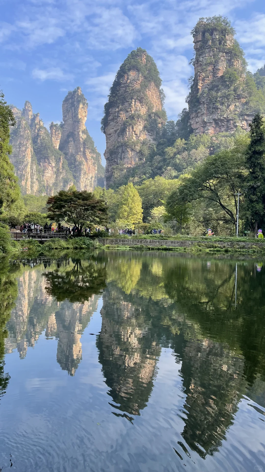 张家界国家森林公园的晴阴雨雾+攻略