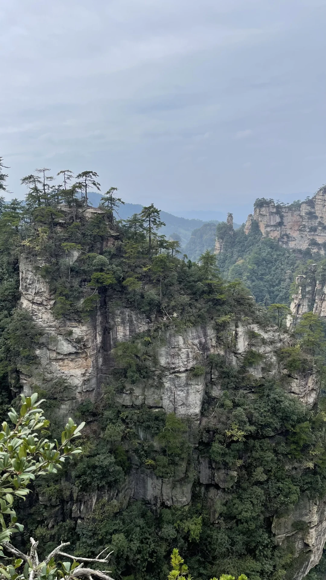 张家界国家森林公园的晴阴雨雾+攻略