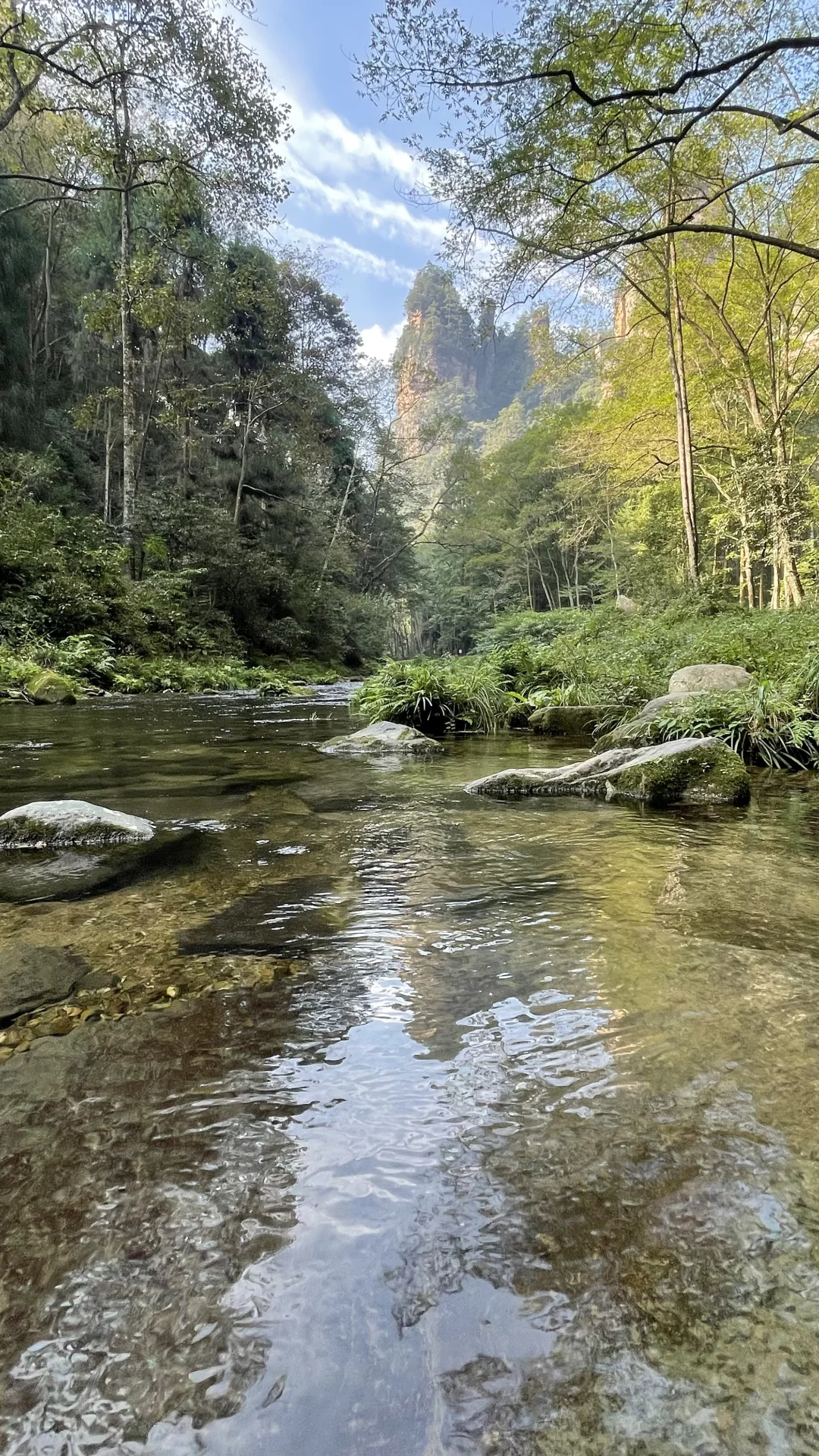 张家界国家森林公园的晴阴雨雾+攻略