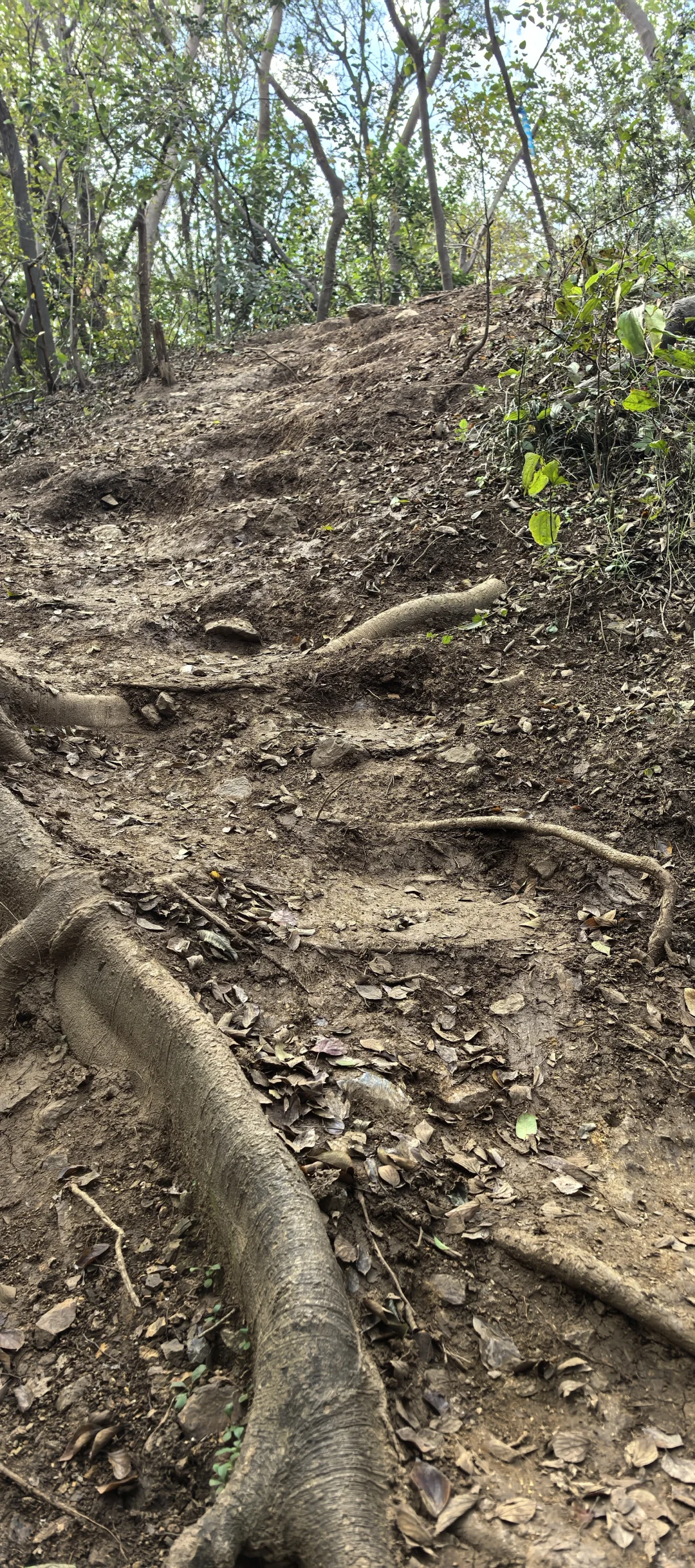 南山景区大裂谷小环线（免门票版）