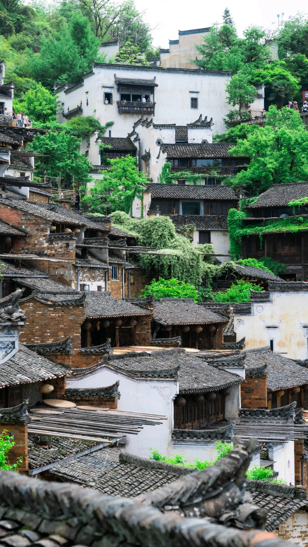 不卷晒秋了！4月的婺源 比想象更出片📸