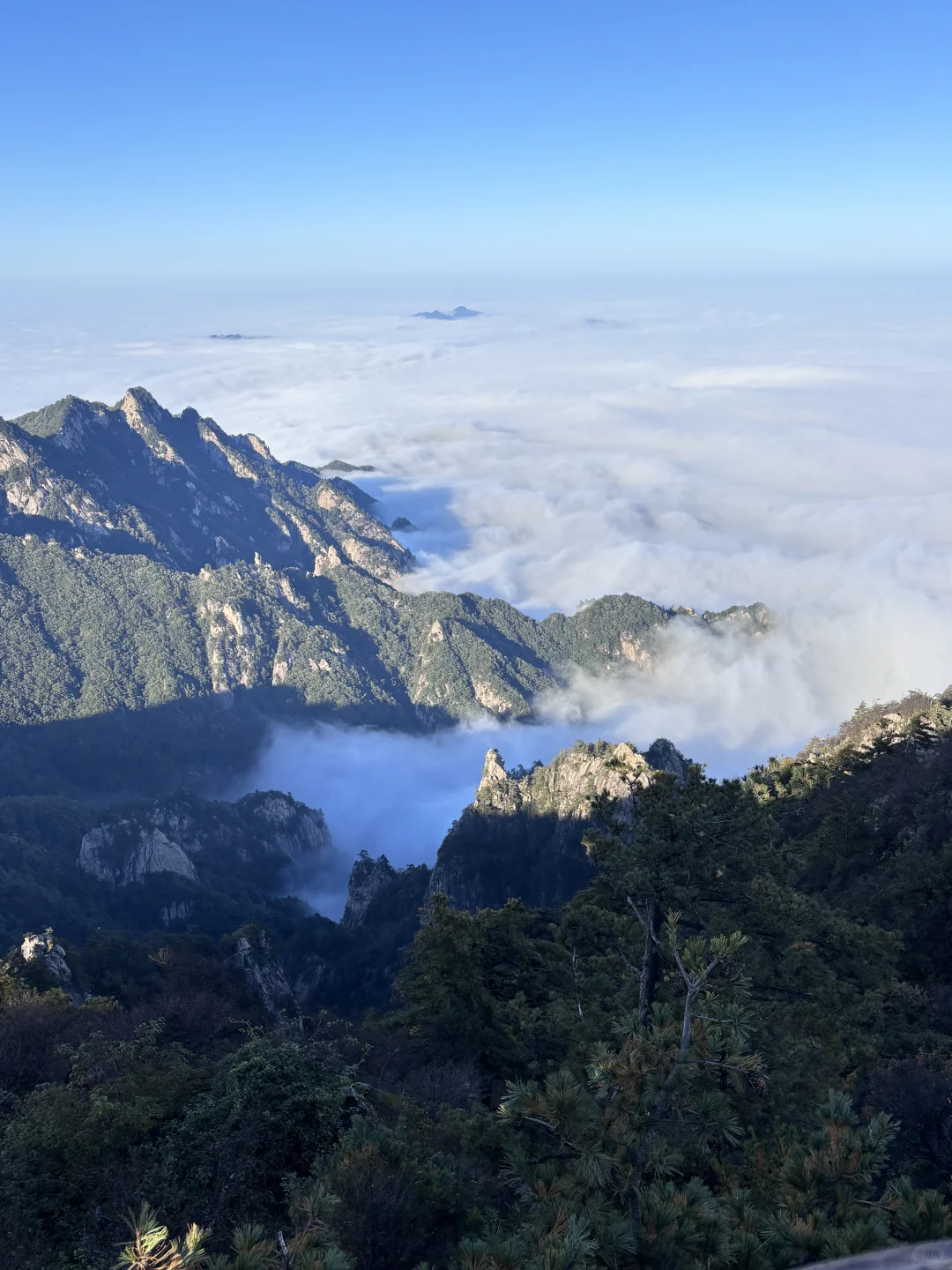河南不宣传这个山真的糊涂！没有热度但绝美